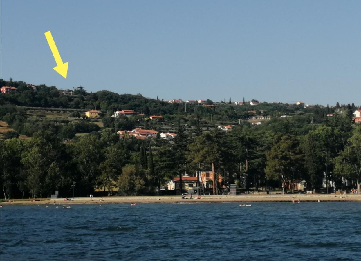 Apartma Monte Moro Appartement Ankaran Buitenkant foto